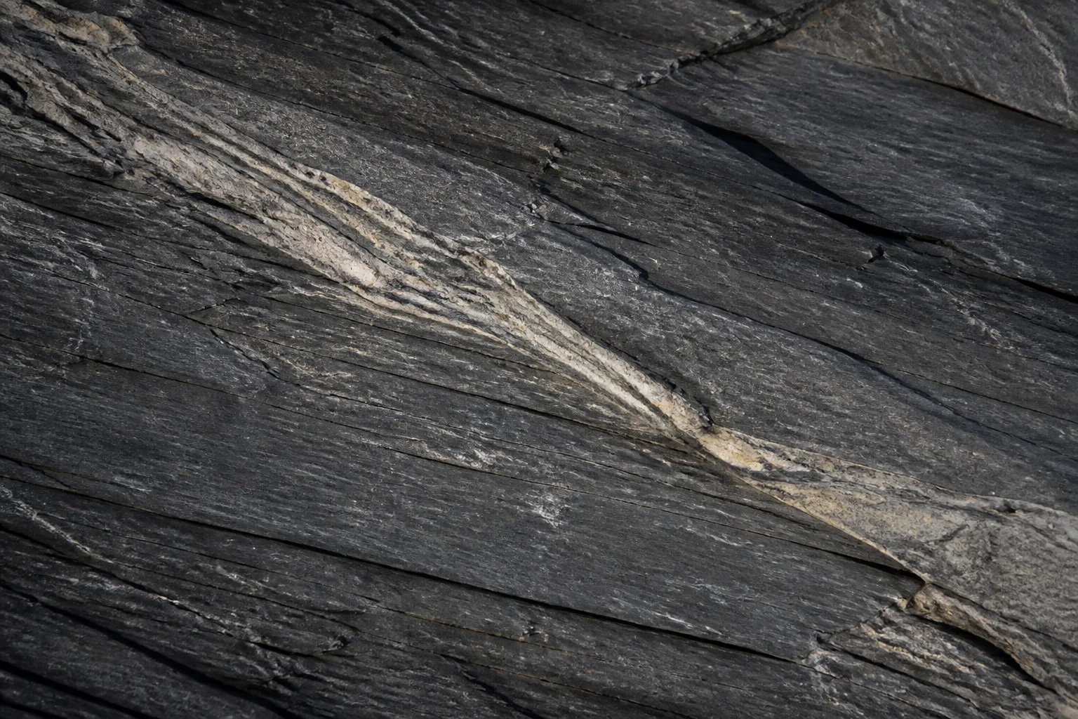 Layered slate crossed by a pale mineral seam